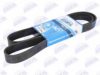 BTA B08-8PK1520 V-Ribbed Belts